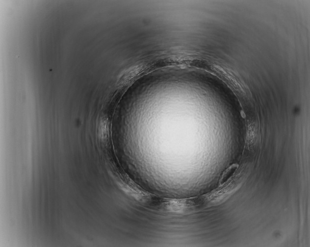 X0000098170623200805011015