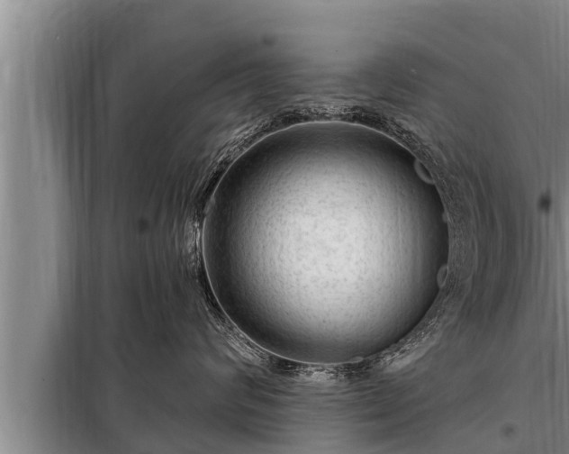 X0000098170624200805011015