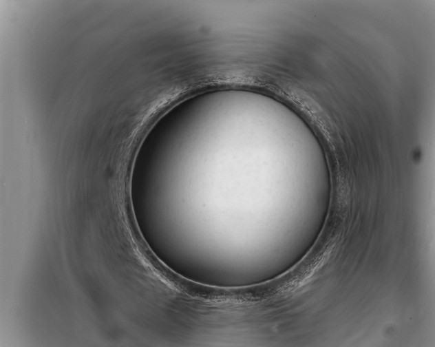 X0000098170625200805011014