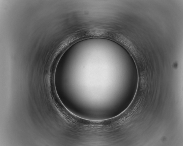 X0000098170626200805011014