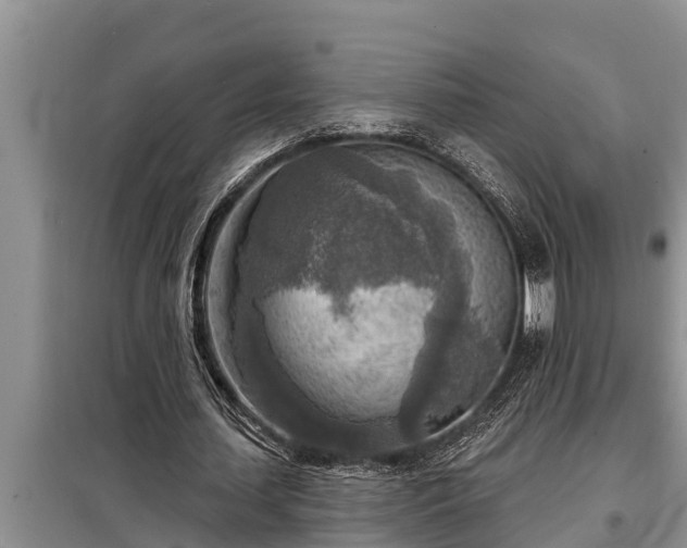 X0000098170627200805011014