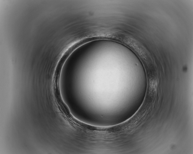 X0000098170628200805011014