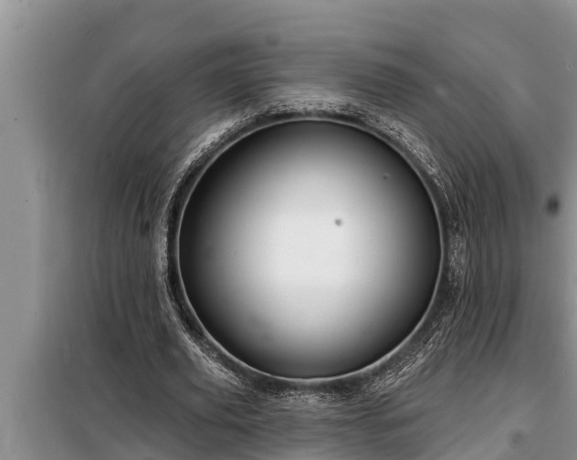 X0000098170629200805011014