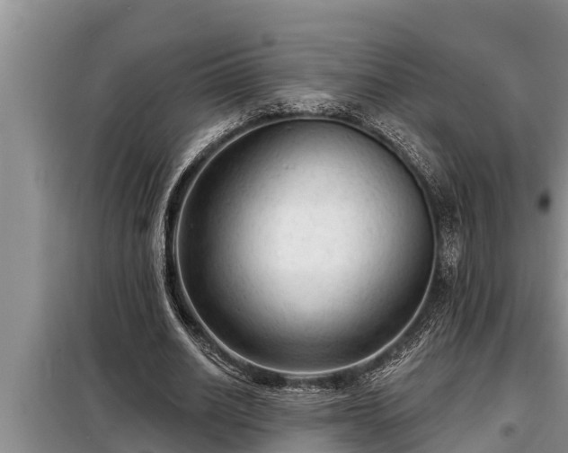 X0000098170630200805011014