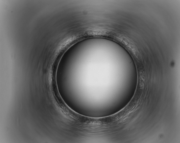 X0000098170631200805011014