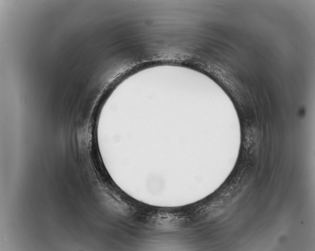 X0000098170632200805011014