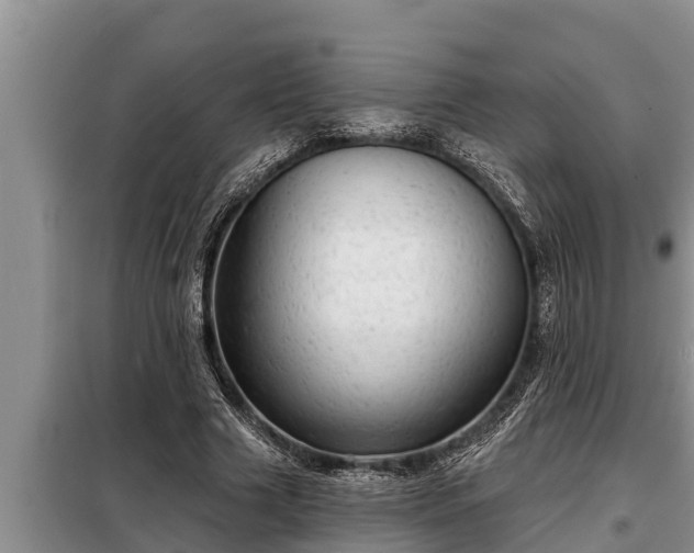 X0000098170633200805011015