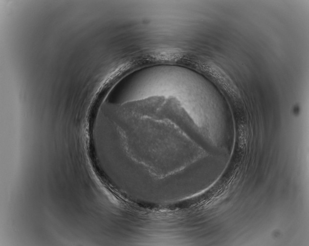 X0000098170634200805011015