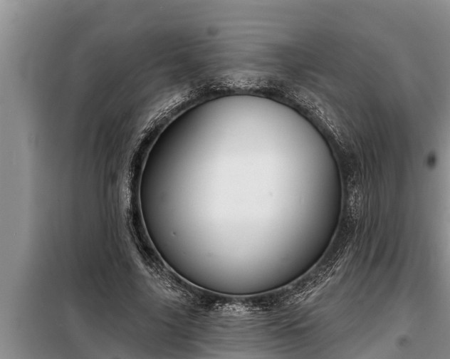 X0000098170635200805011015