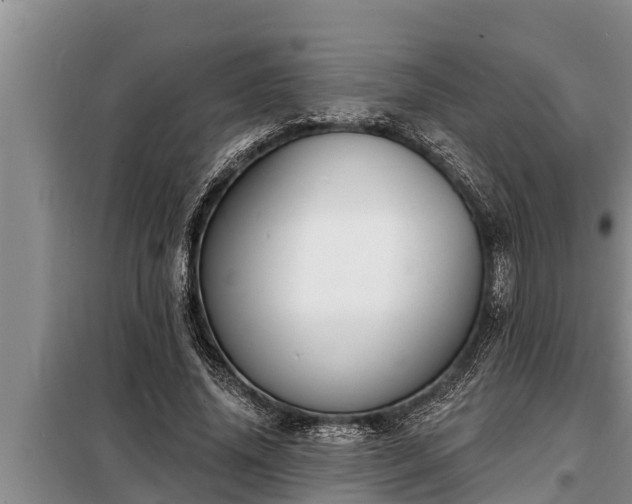 X0000098170636200805011015