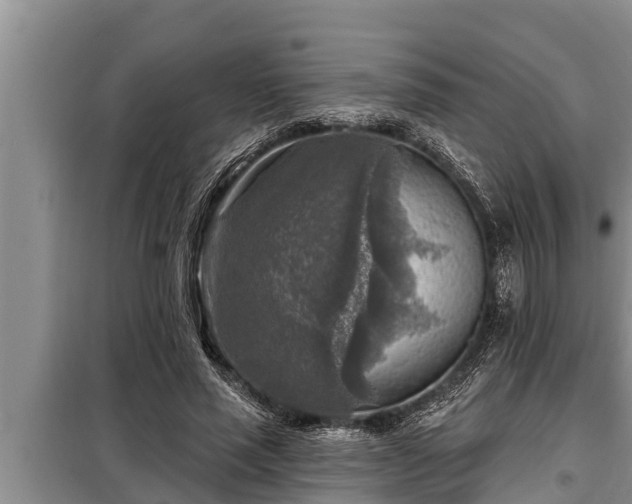 X0000098170637200805011015