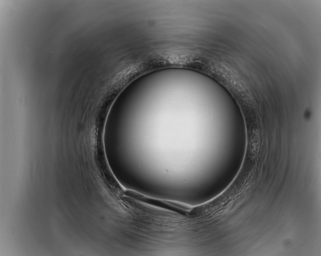 X0000098170639200805011015