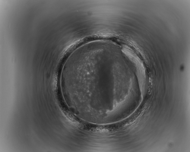 X0000098170640200805011015