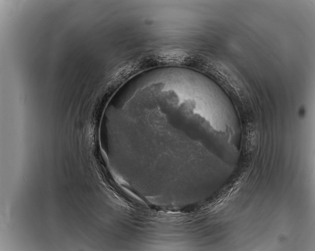 X0000098170641200805011015