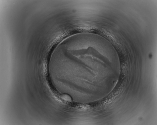 X0000098170642200805011015