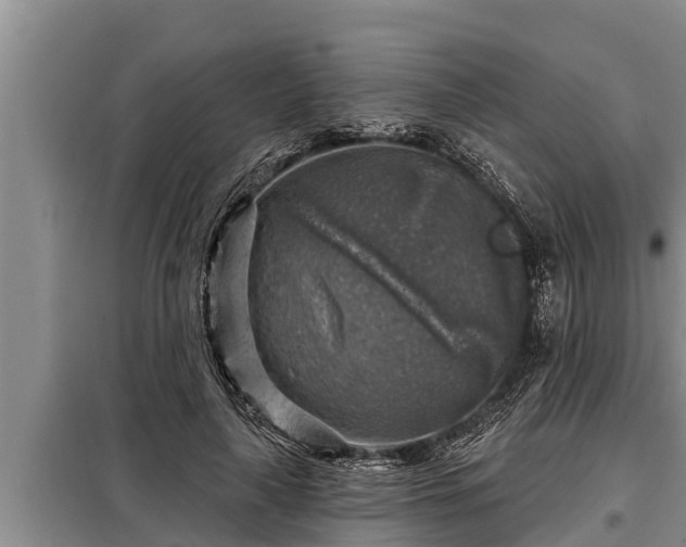 X0000098170643200805011015