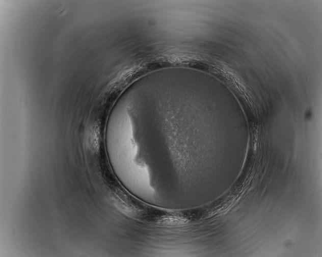 X0000098170644200805011015