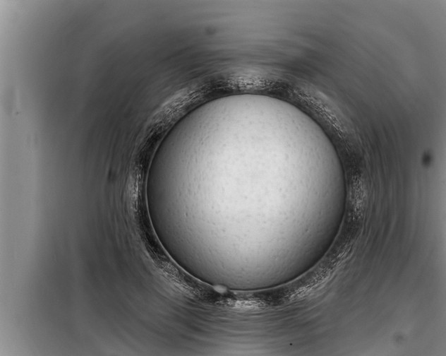 X0000098170645200805011015