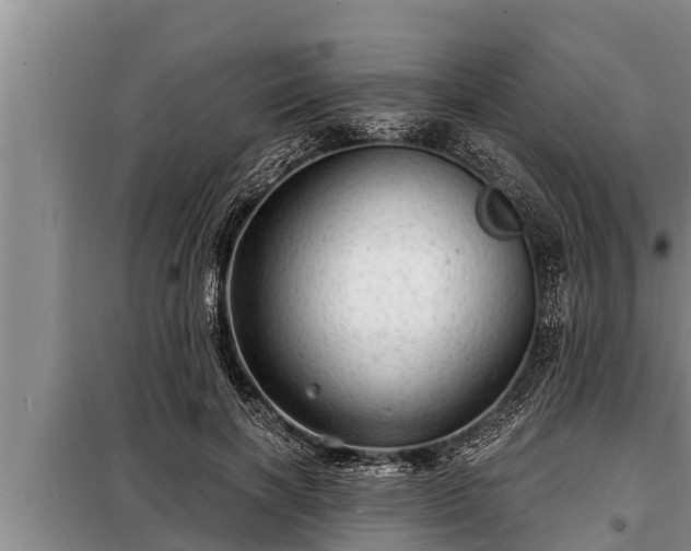 X0000098170646200805011015