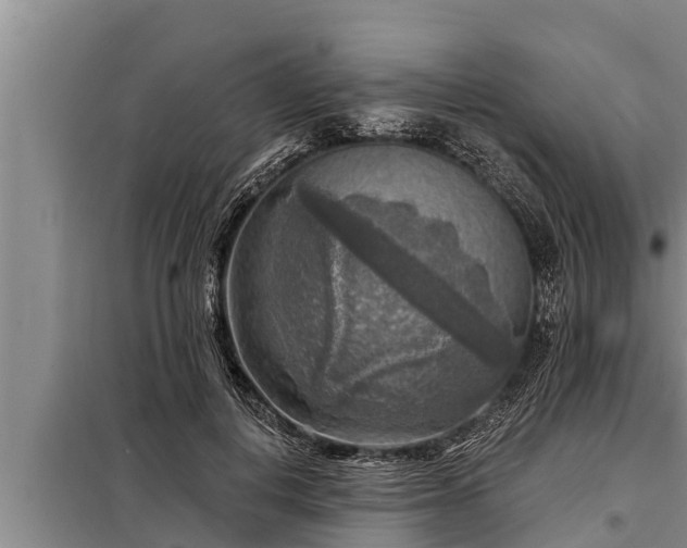 X0000098170648200805011015