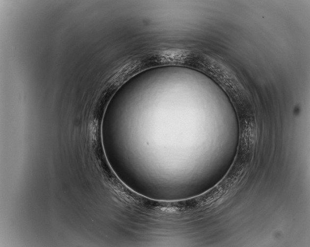 X0000098170649200805011015