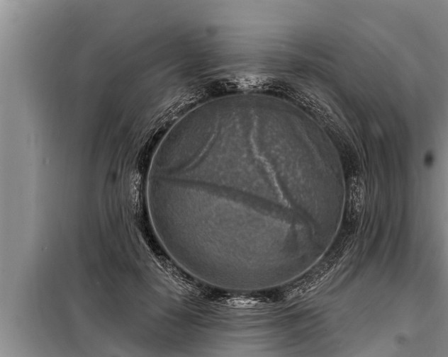 X0000098170650200805011015