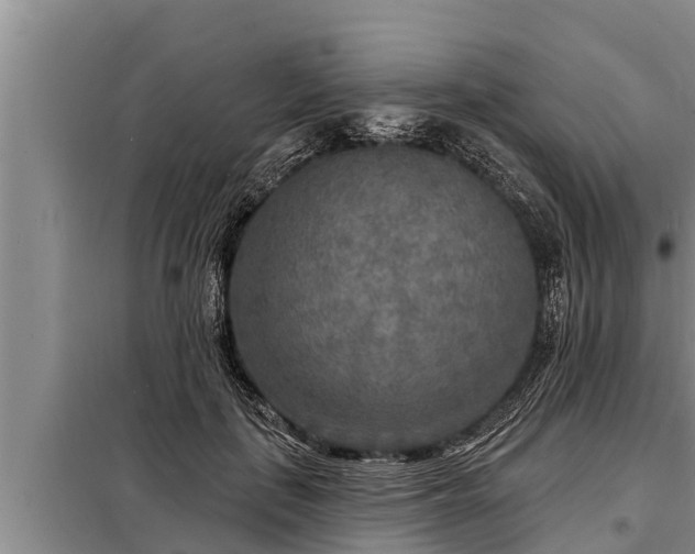 X0000098170651200805011015