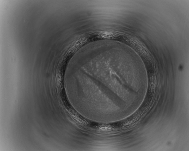 X0000098170653200805011015