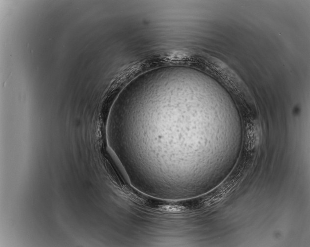 X0000098170654200805011015