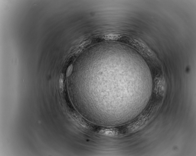 X0000098170655200805011015