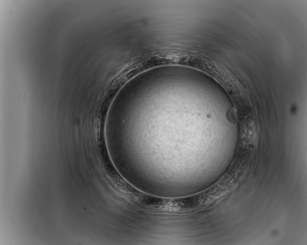 X0000098170656200805011015