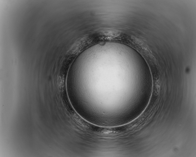 X0000098170657200805011015