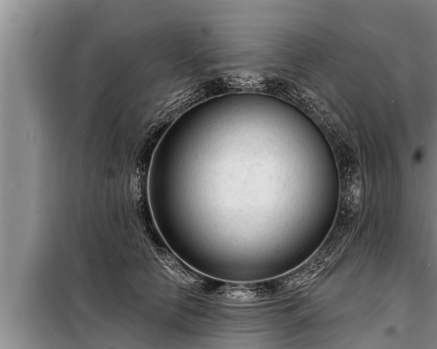 X0000098170658200805011015