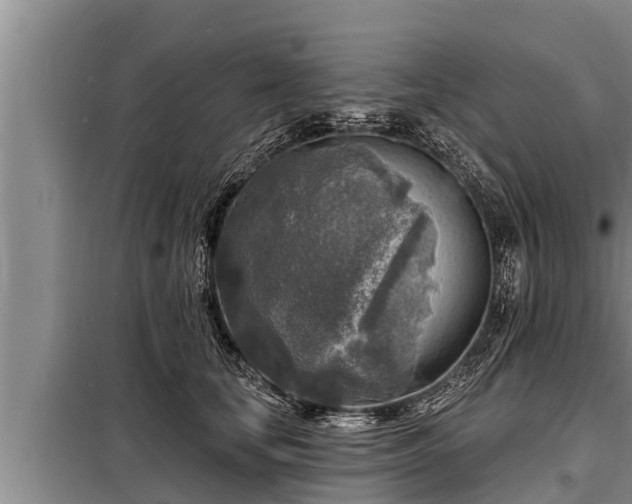 X0000098170659200805011015