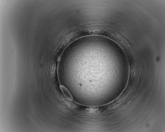 X0000098170660200805011015