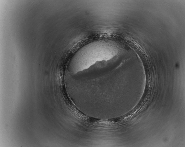 X0000098170661200805011015