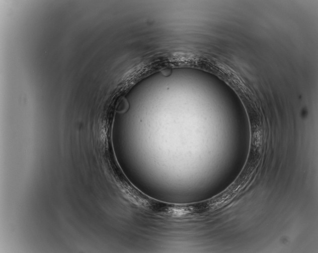 X0000098170662200805011015