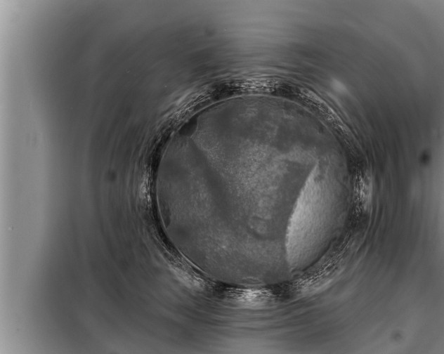 X0000098170663200805011015