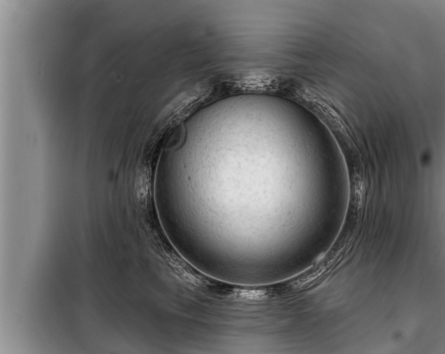 X0000098170665200805011015