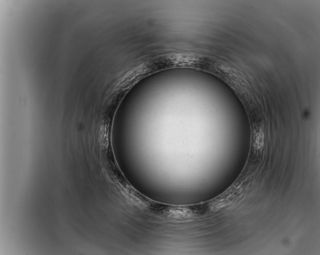 X0000098170666200805011015