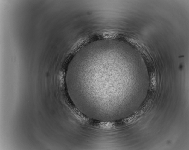 X0000098170667200805011015