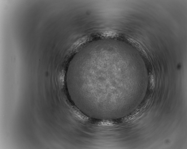 X0000098170668200805011015