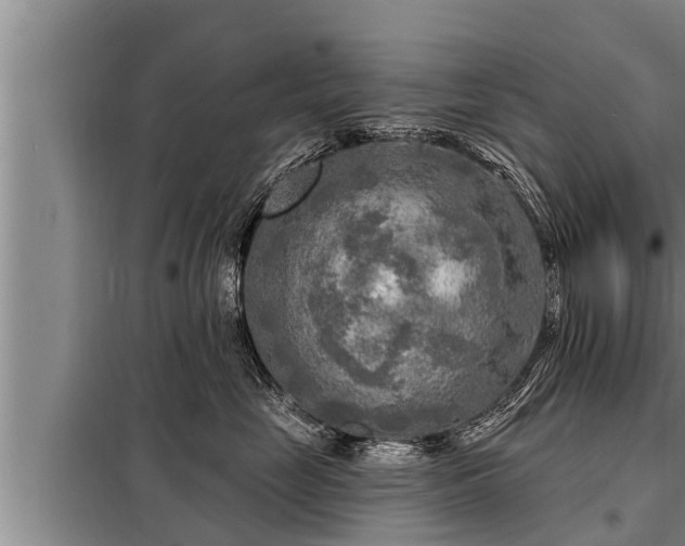 X0000098170669200805011015