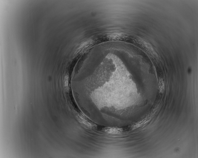 X0000098170670200805011015