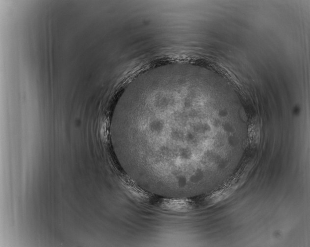 X0000098170671200805011015