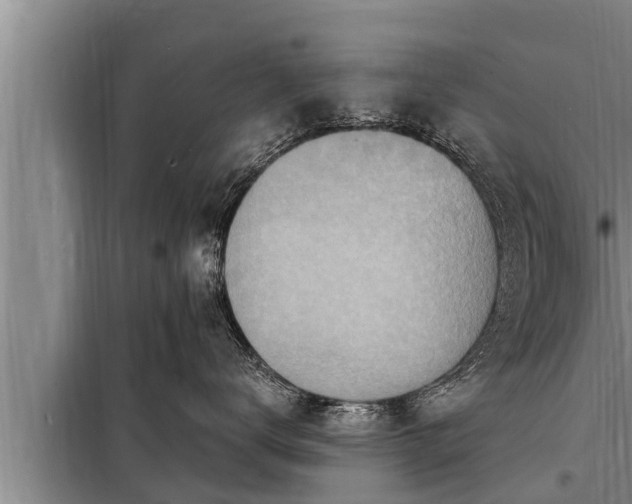 X0000098170672200805011015