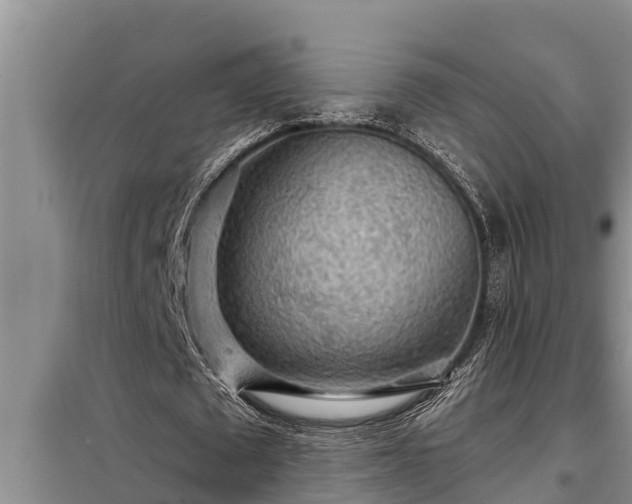 X0000098170673200805011014