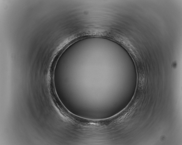 X0000098170674200805011014