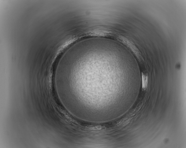 X0000098170675200805011014