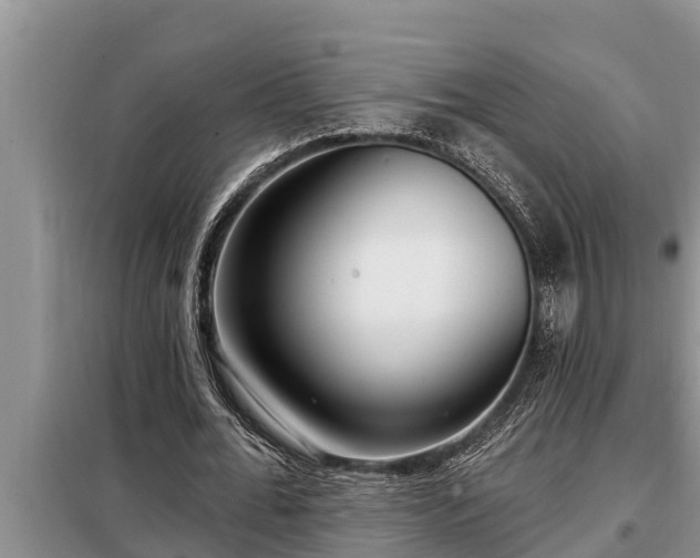 X0000098170676200805011014